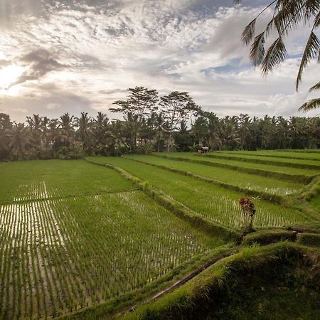 Junjungan Ubud Hotel And Spa Exterior photo