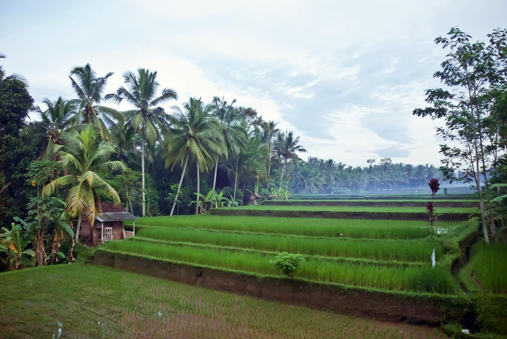 Junjungan Ubud Hotel And Spa Exterior photo