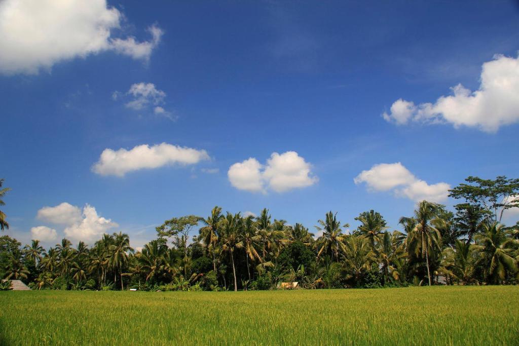 Junjungan Ubud Hotel And Spa Exterior photo