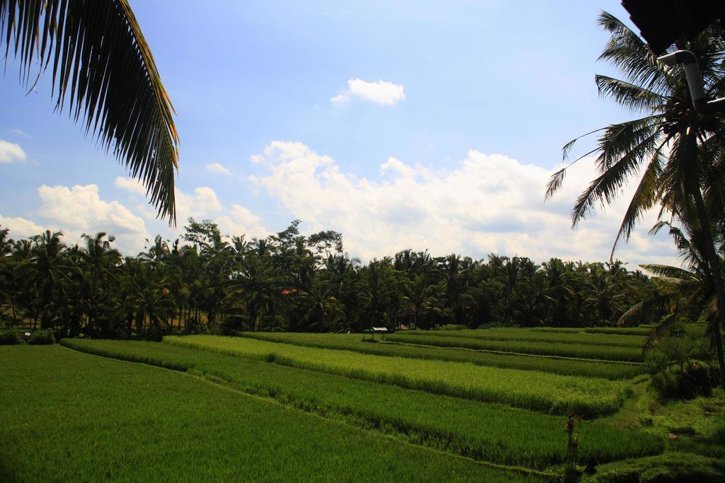 Junjungan Ubud Hotel And Spa Exterior photo