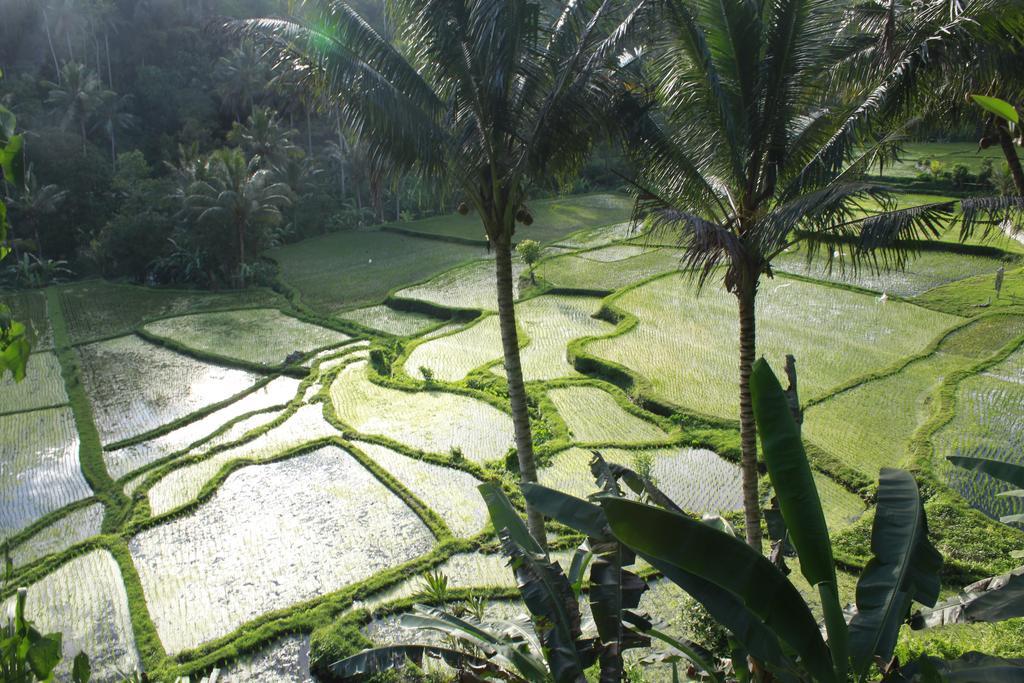 Junjungan Ubud Hotel And Spa Exterior photo