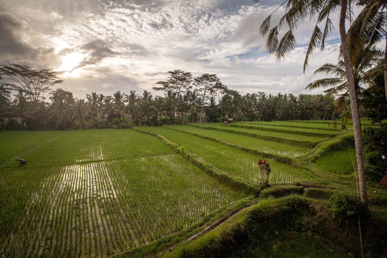 Junjungan Ubud Hotel And Spa Exterior photo